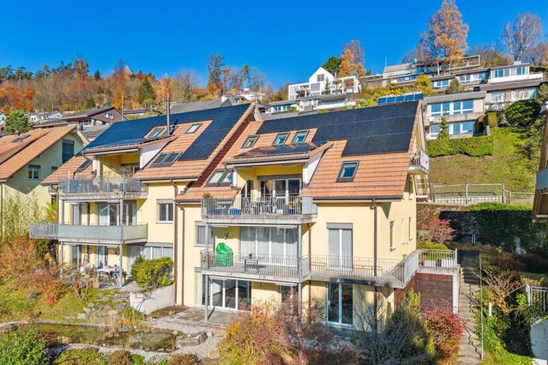 Backbone 154428 002 WEB