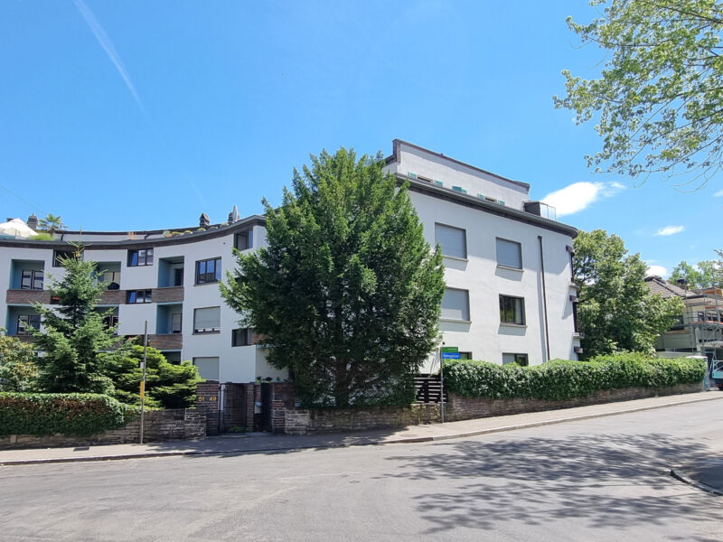 Hallerstrasse 49 5